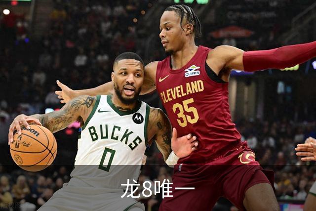 龙8唯一公司介绍图